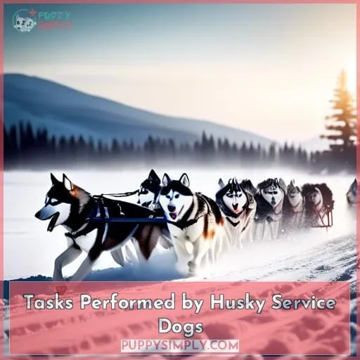 Tasks Performed by Husky Service Dogs