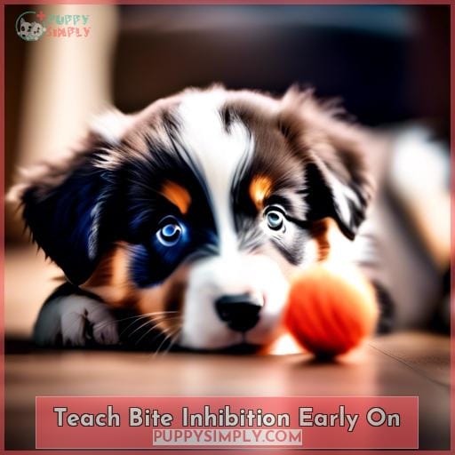 Teach Bite Inhibition Early On
