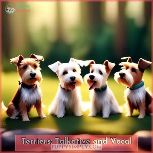 Terriers: Talkative and Vocal