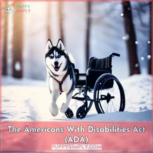 The Americans With Disabilities Act (ADA)