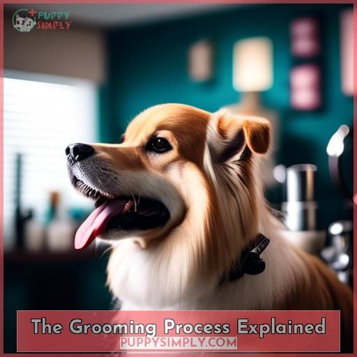 The Grooming Process Explained
