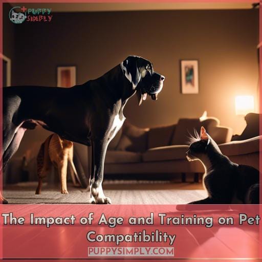 The Impact of Age and Training on Pet Compatibility