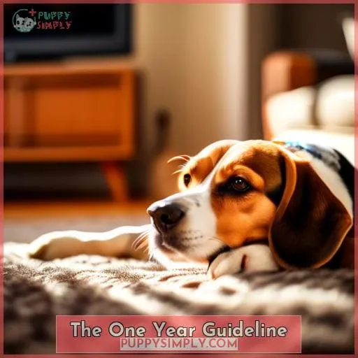 The One Year Guideline