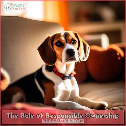 The Role of Responsible Ownership