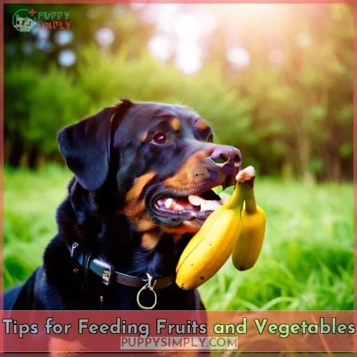 Tips for Feeding Fruits and Vegetables