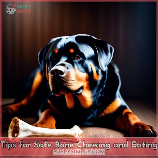 Tips for Safe Bone Chewing and Eating