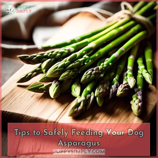 Tips to Safely Feeding Your Dog Asparagus Tips to Safely Feeding Your Dog Asparagus