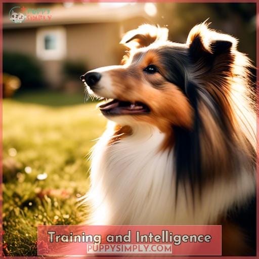 Training and Intelligence