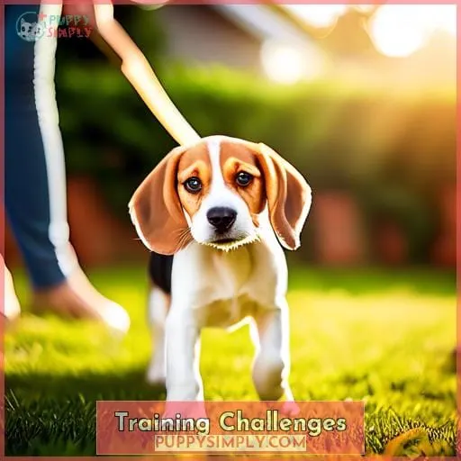 Training Challenges