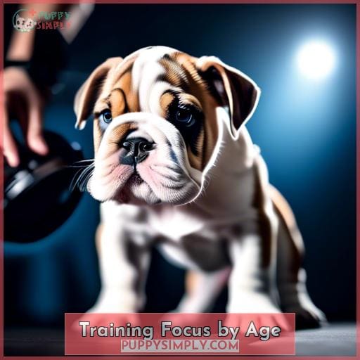 Training Focus by Age