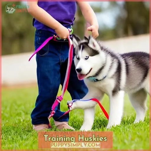 Training Huskies