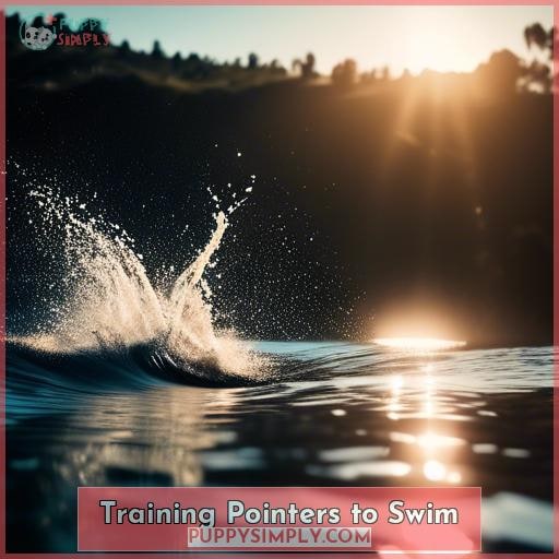 Training Pointers to Swim