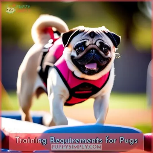 Training Requirements for Pugs