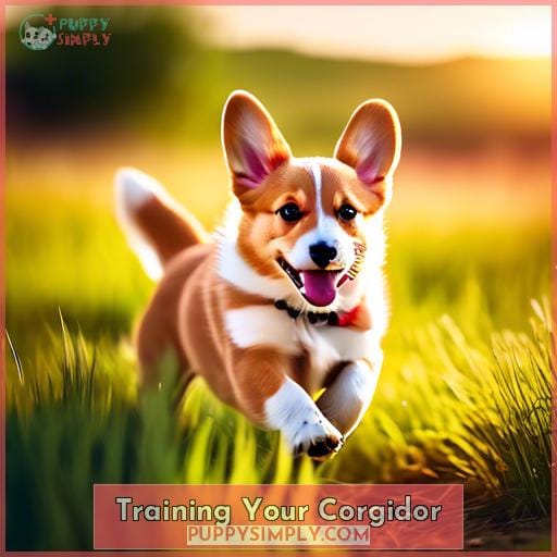 Training Your Corgidor