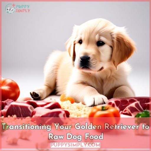 Transitioning Your Golden Retriever to Raw Dog Food
