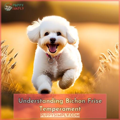 Understanding Bichon Frise Temperament