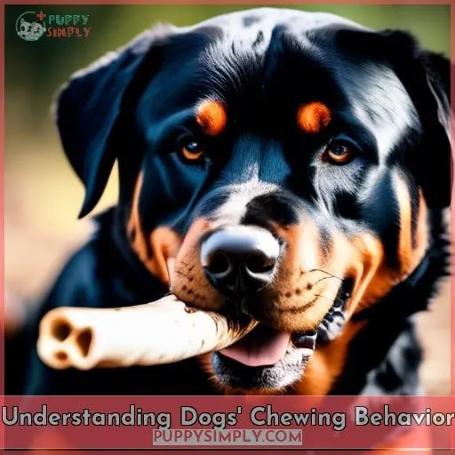 Understanding Dogs