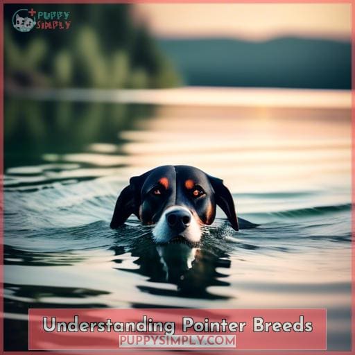 Understanding Pointer Breeds Understanding Pointer Breeds