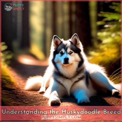 Understanding the Huskydoodle Breed