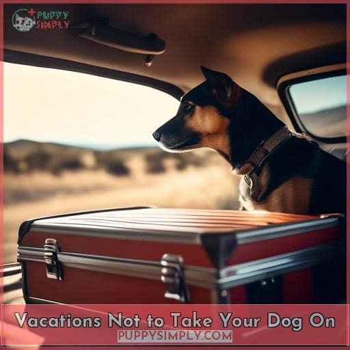 Vacations Not to Take Your Dog On