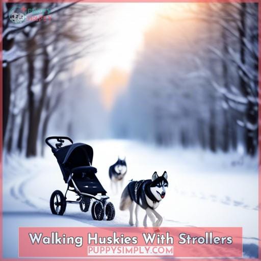 Walking Huskies With Strollers