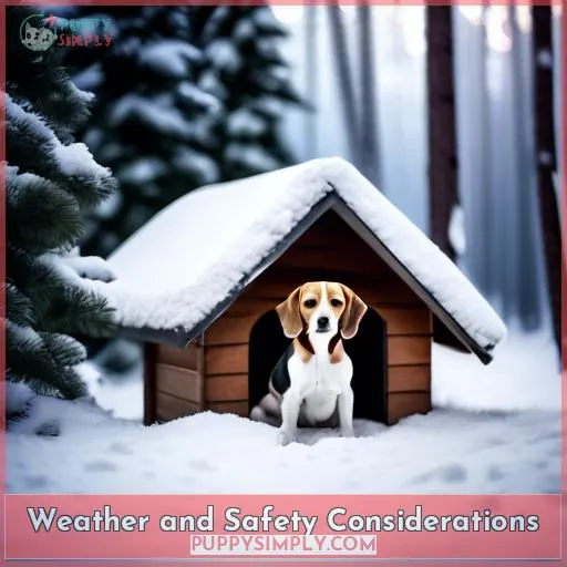 Weather and Safety Considerations