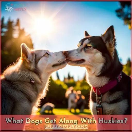 What Dogs Get Along With Huskies