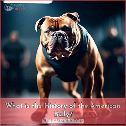 What is the History of the American Bully