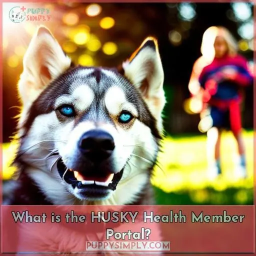 What is the HUSKY Health Member Portal