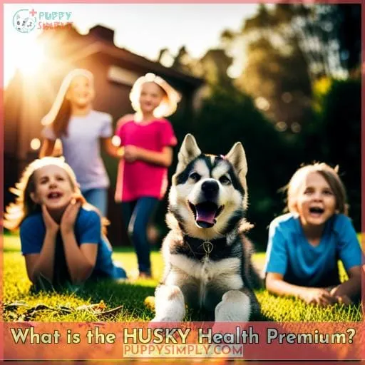 What is the HUSKY Health Premium