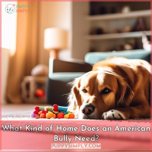 What Kind of Home Does an American Bully Need