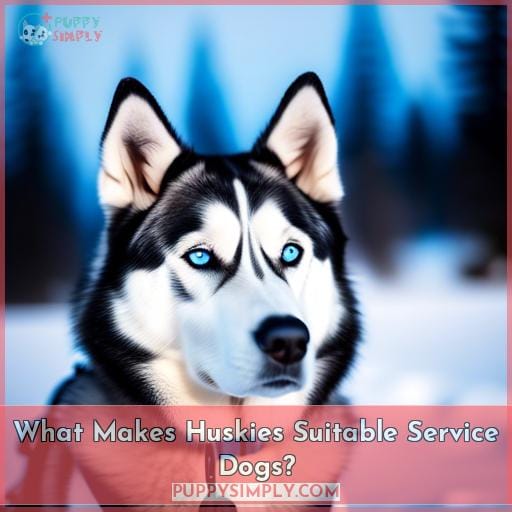 What Makes Huskies Suitable Service Dogs