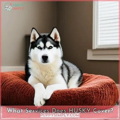 What Services Does HUSKY Cover