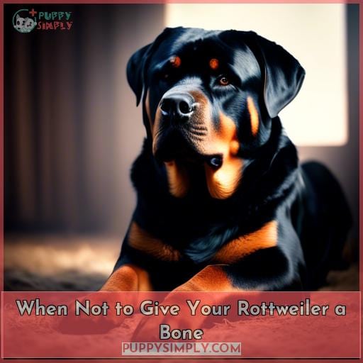When Not to Give Your Rottweiler a Bone