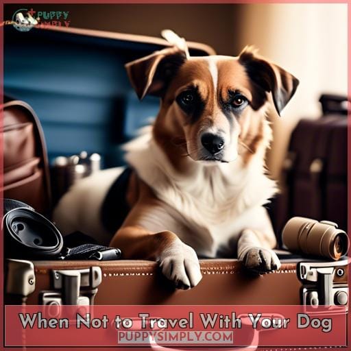 When Not to Travel With Your Dog