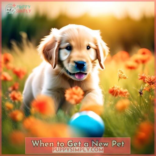 When to Get a New Pet