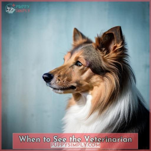 When to See the Veterinarian When to See the Veterinarian