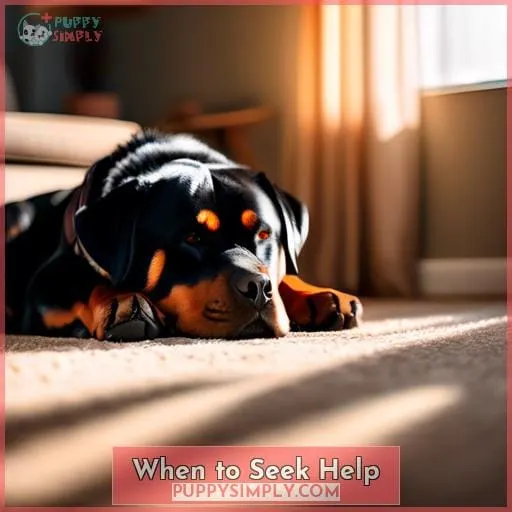 When to Seek Help