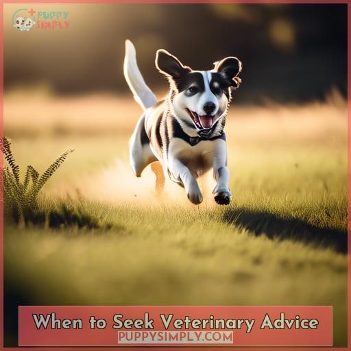 When to Seek Veterinary Advice