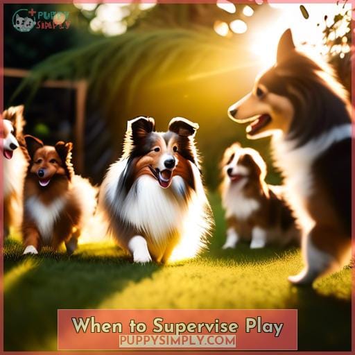 When to Supervise Play