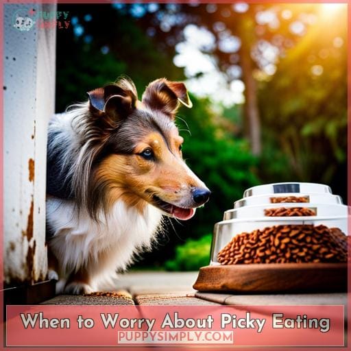 When to Worry About Picky Eating When to Worry About Picky Eating