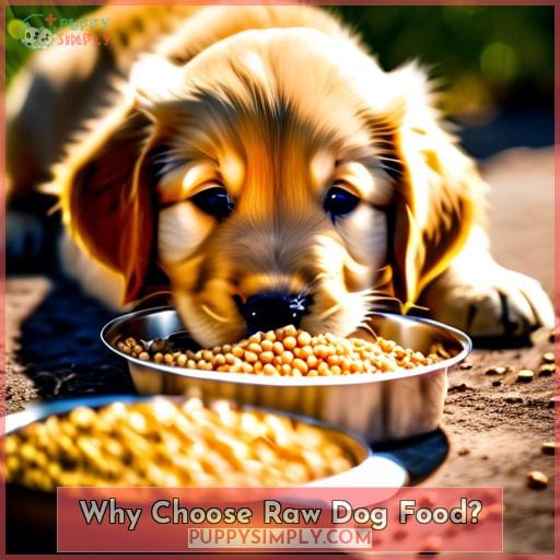 Why Choose Raw Dog Food