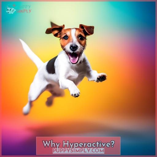 Why Hyperactive