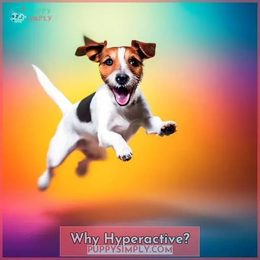 Why Hyperactive