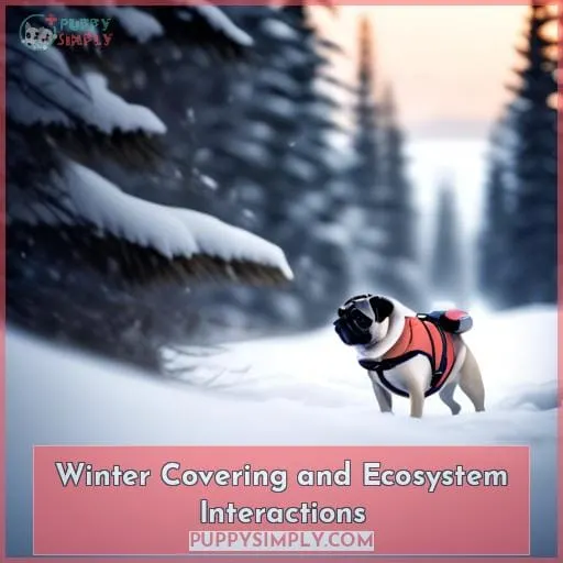 Winter Covering and Ecosystem Interactions