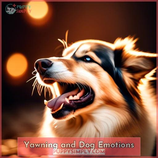 Yawning and Dog Emotions