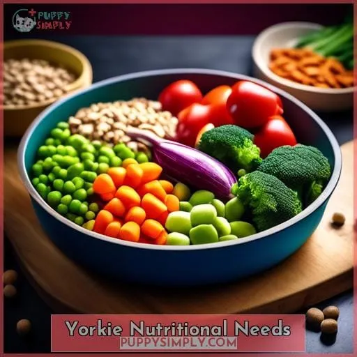 Yorkie Nutritional Needs