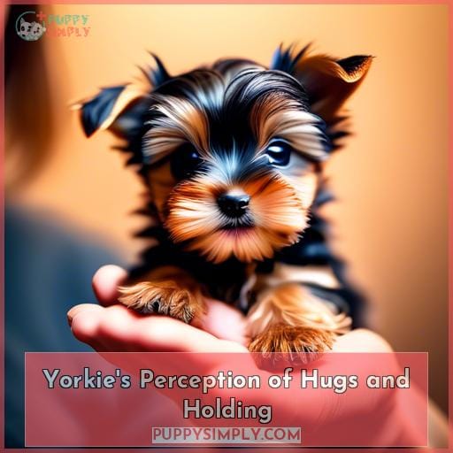 Yorkie's Perception of Hugs and Holding Yorkie's Perception of Hugs and Holding