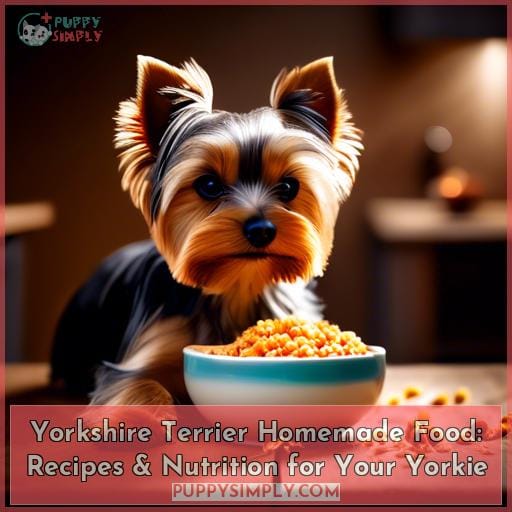 Yorkshire Terrier Homemade Food Recipes & Nutrition for Your Yorkie
