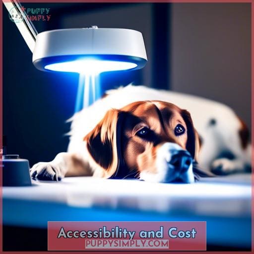 Accessibility and Cost